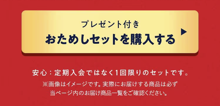注文ボタンで、注文へ進む