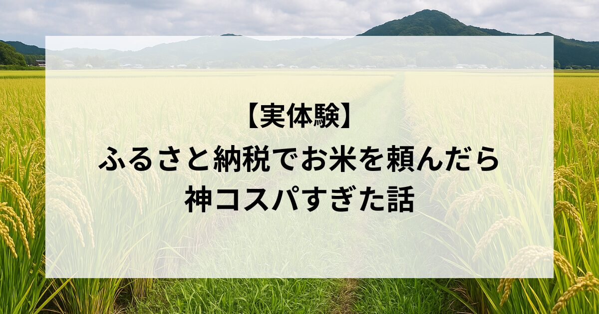 【実体験】ふるさと納税で「お米」を頼んだら神コスパすぎた話