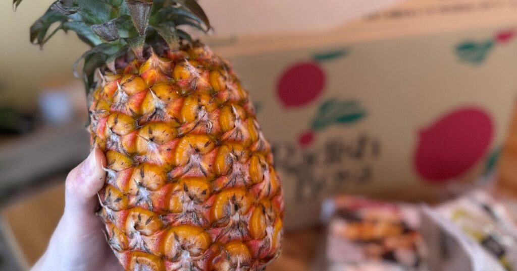 お試しセットは本当にお得？【価格・勧誘も解説】