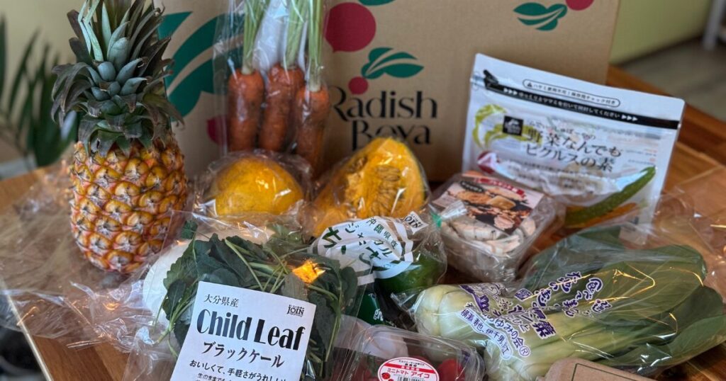 実体験レビュー｜お試しセットを頼んでみた